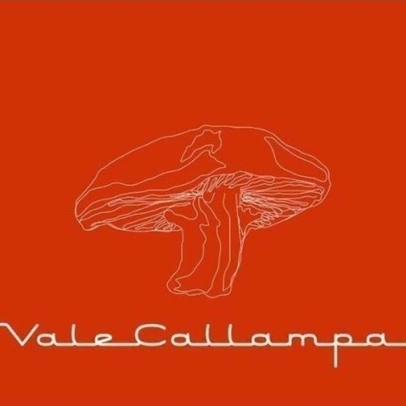 CD Cafe Tacuba - Vale Callampa - Picture 2 of 2